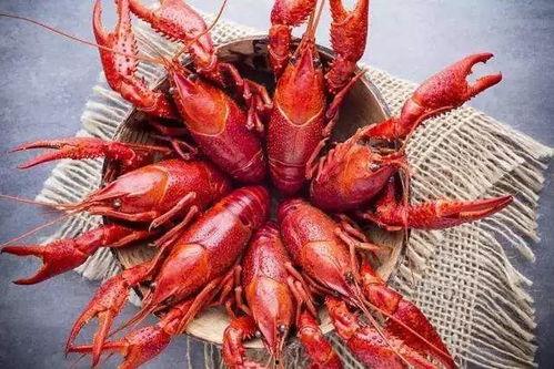 厦门龙虾爆料事件视频曝光,揭露海鲜市场惊人内幕  第3张